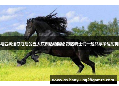 马匹奥运夺冠后的五大庆祝活动揭秘 跟随骑士们一起共享荣耀时刻