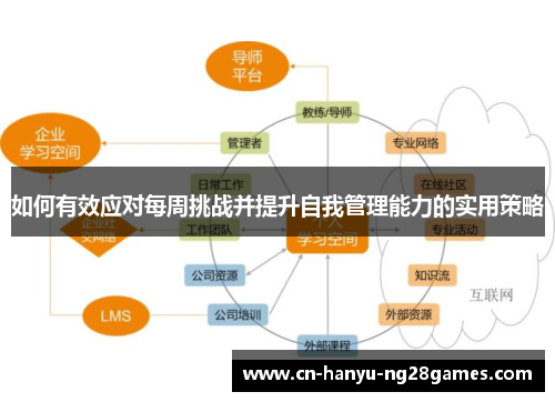 如何有效应对每周挑战并提升自我管理能力的实用策略