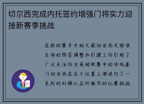 切尔西完成内托签约增强门将实力迎接新赛季挑战