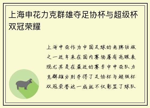 上海申花力克群雄夺足协杯与超级杯双冠荣耀